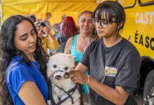 Mutirão de Castração no Parque São Martinho