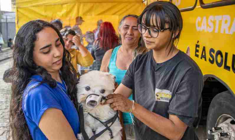 Mutirão de Castração no Parque São Martinho