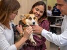 Hospital Veterinário Municipal Pró-Pet 24 Horas