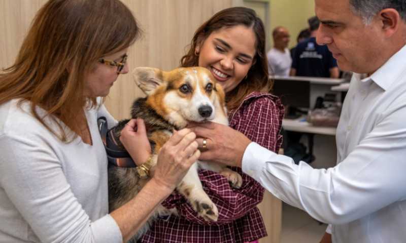 Hospital Veterinário Municipal Pró-Pet 24 Horas