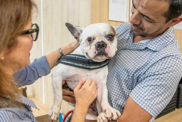 Prefeita Mara Bertaiolli inaugurou Hospital Pró-Pet 24 horas