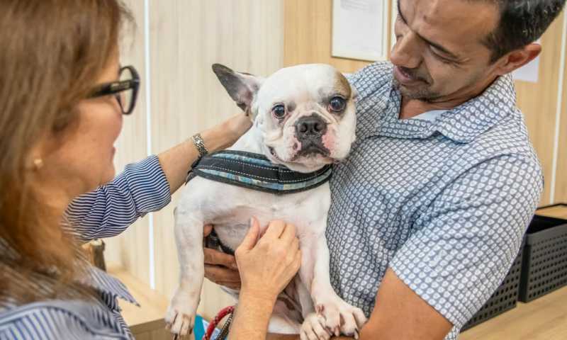 Prefeita Mara Bertaiolli inaugurou Hospital Pró-Pet 24 horas